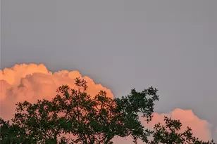 180 Robison Rd, Bertram, TX 78605 - Photo 6