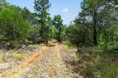Tbd Gotier Trace Road, Paige, TX 78659 - Photo 14