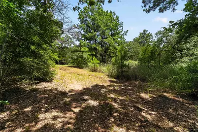 Tbd Gotier Trace Road, Paige, TX 78659 - Photo 4
