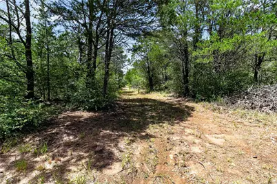 Tbd Gotier Trace Road, Paige, TX 78659 - Photo 8