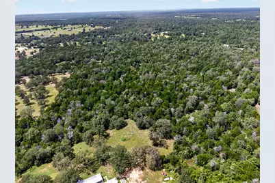 Tbd Gotier Trace Road, Paige, TX 78659 - Photo 22