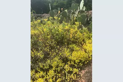 221 Yucca and Adjoining Lot Drive, Burnet, TX 78611 - Photo 12