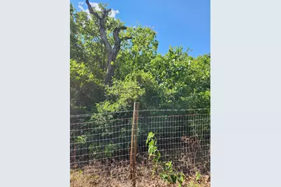 Lot-49 Flaming Oak Drive, Bastrop, TX 78602 - Photo 4