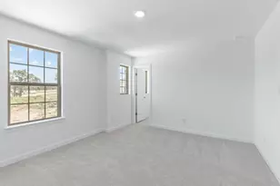 1821 Spg Mountain Cv, Georgetown, TX 78628 - Photo 14