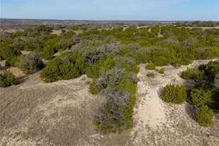 Lot 66 Bluff View Rd, Kempner, TX 76539 - Photo 12