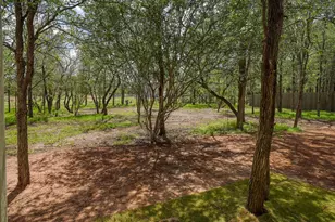 207 Waipahoehoe Dr, Bastrop, TX 78602 - Photo 38