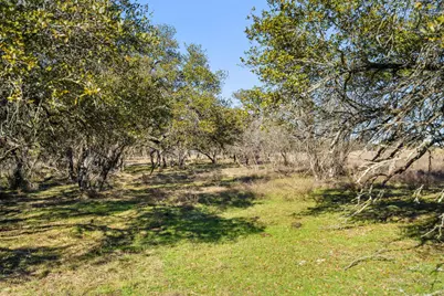 1422 Rm 2766, Johnson City, TX 78636 - Photo 4