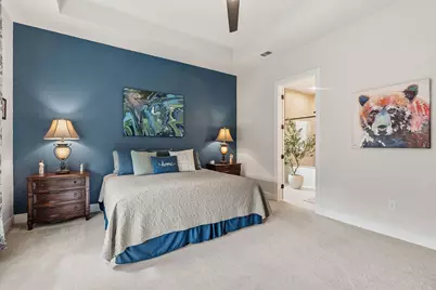 119 Cedro Blanco Cove, Liberty Hill, TX 78642 - Photo 16