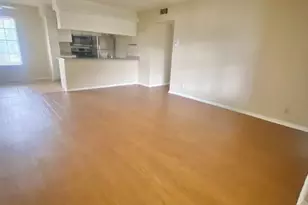 910 Duncan Ln, Austin, TX 78705 - Photo 4