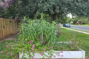 8227 Liberty Walk Dr, Round Rock, TX 78681 - Photo 38