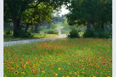 892 Baird Ranch Road, Johnson City, TX 78636 - Photo 8