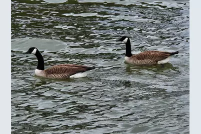 Lot 2 Beacon Point Cove, Lago Vista, TX 78645 - Photo 32