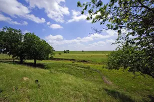 2002 Co Rd 276, Bertram, TX 78605 - Photo 12