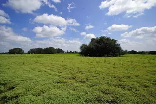 2002 Co Rd 276, Bertram, TX 78605 - Photo 2