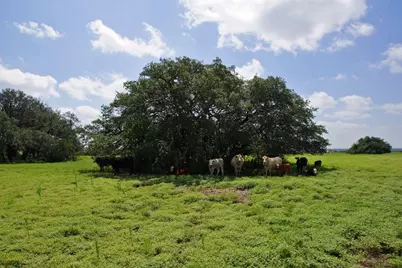 2002 County Road 276, Bertram, TX 78605 - Photo 6