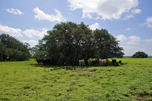 2002 Co Rd 276, Bertram, TX 78605 - Photo 6