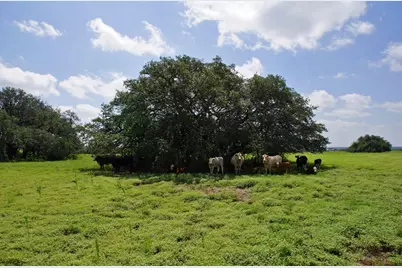 2002 County Road 276, Bertram, TX 78605 - Photo 6