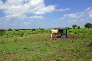 2002 Co Rd 276, Bertram, TX 78605 - Photo 4