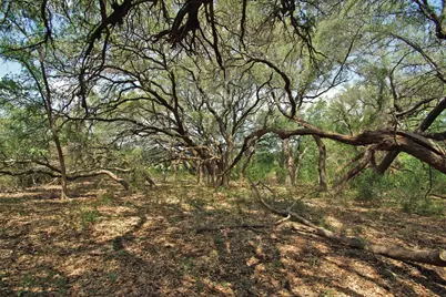 2002 County Road 276, Bertram, TX 78605 - Photo 10