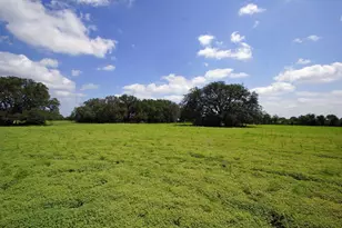 2002 Co Rd 276, Bertram, TX 78605 - Photo 14