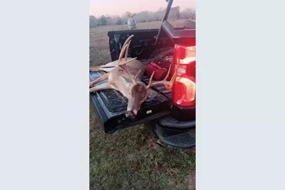 1820 South Old Smithville Road, Flatonia, TX 78941 - Photo 32