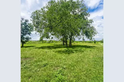 14520 Bois D Arc Lane, Manor, TX 78653 - Photo 12