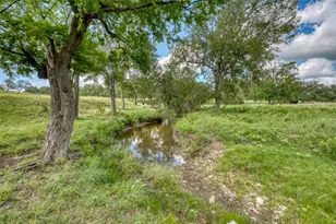 191 Pivot Cir, Briggs, TX 78608 - Photo 14