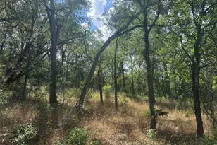 3633 Outback Trail, Spicewood, TX 78669 - Photo 8