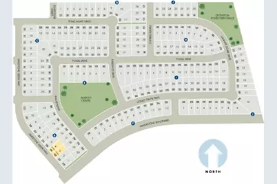 258 Texas Agate Drive, Kyle, TX 78640 - Photo 6