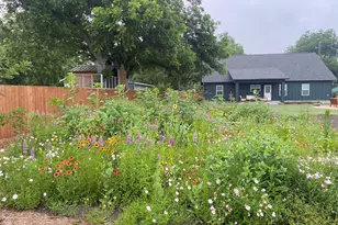 162 Friedens Church Rd, Seguin, TX 78155 - Photo 28