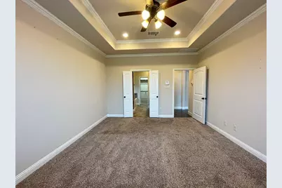 433 Mistflower Springs Drive, Leander, TX 78641 - Photo 32