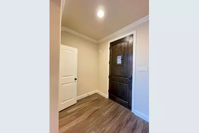 433 Mistflower Springs Drive, Leander, TX 78641 - Photo 2