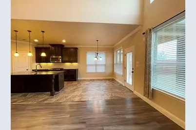 433 Mistflower Springs Drive, Leander, TX 78641 - Photo 8