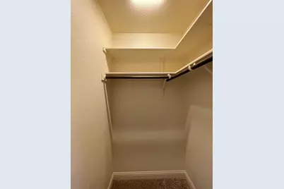 433 Mistflower Springs Drive, Leander, TX 78641 - Photo 26