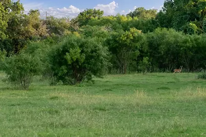 646 Victor Eckhardt Road, Fredericksburg, TX 78624 - Photo 12