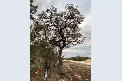 1007 Pristine Trail, Canyon Lake, TX 78133 - Photo 12