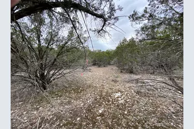1007 Pristine Trail, Canyon Lake, TX 78133 - Photo 14