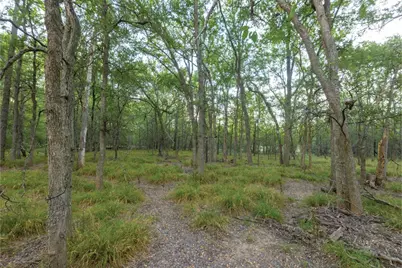 498 N County Line Road, Elgin, TX 78621 - Photo 26