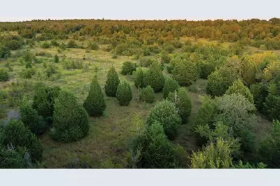 498 N County Line Road, Elgin, TX 78621 - Photo 16