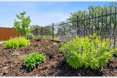 1437 Argyll Park, Bulverde, TX 78163 - Photo 10