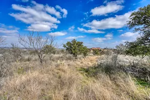 103 Palmie Ln, Marble Falls, TX 78654 - Photo 6