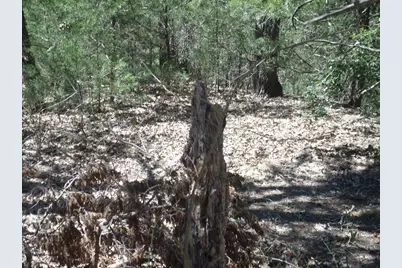 273 Unit H Walter Hoffman Road, Cedar Creek, TX 78612 - Photo 2