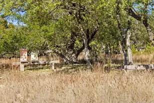 3550 Bell Springs Dr, Dripping Springs, TX 78620 - Photo 34