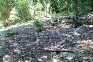 2309 Shoal Creek Blvd, Austin, TX 78705 - Photo 32