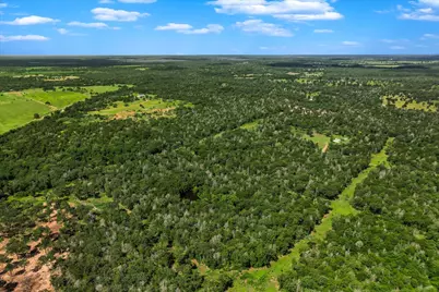 Tbd Tracts 12-13 High Crossing Road, Smithville, TX 78957 - Photo 4