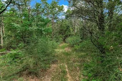 Tbd Tracts 12-13 High Crossing Road, Smithville, TX 78957 - Photo 6
