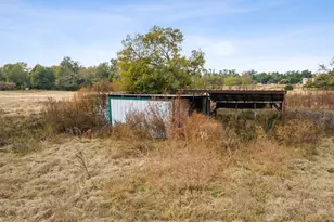 195 L County Road 852, Groesbeck, TX 75838 - Photo 24