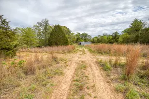 358 Lower Red Rock Rd, Bastrop, TX 78602 - Photo 38