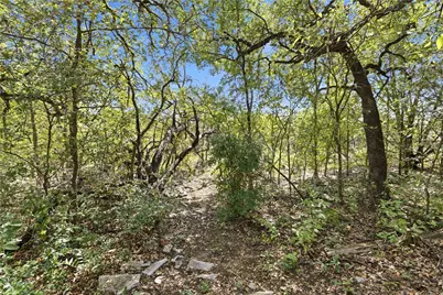 8103 Doe Meadow Drive, Austin, TX 78749 - Photo 34