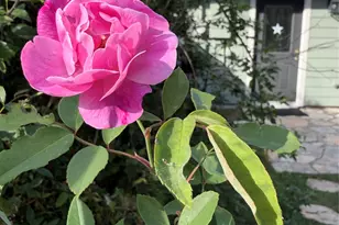 [Address not provided], Austin, TX 78745 - Photo 26